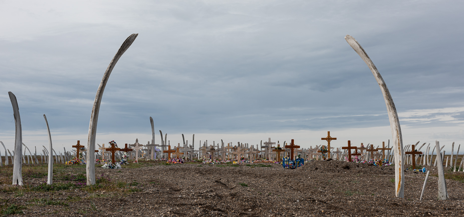 ASRC20150810-2606.JPG